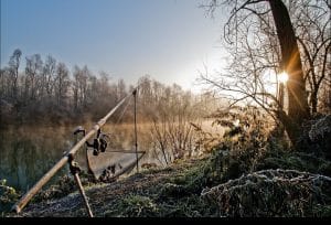 Cum sa prinzi crap iarna pe dunare: Cele mai bune sfaturi