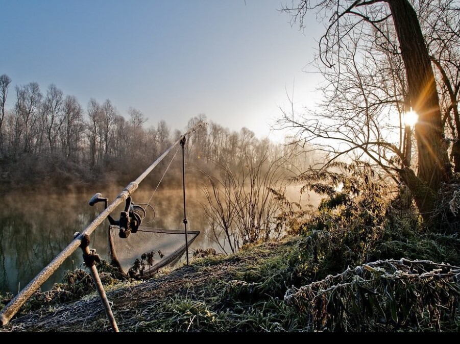 Cum sa prinzi crap iarna pe dunare: Cele mai bune sfaturi 7 Cum sa prinzi crap iarna pe dunare: Cele mai bune sfaturi