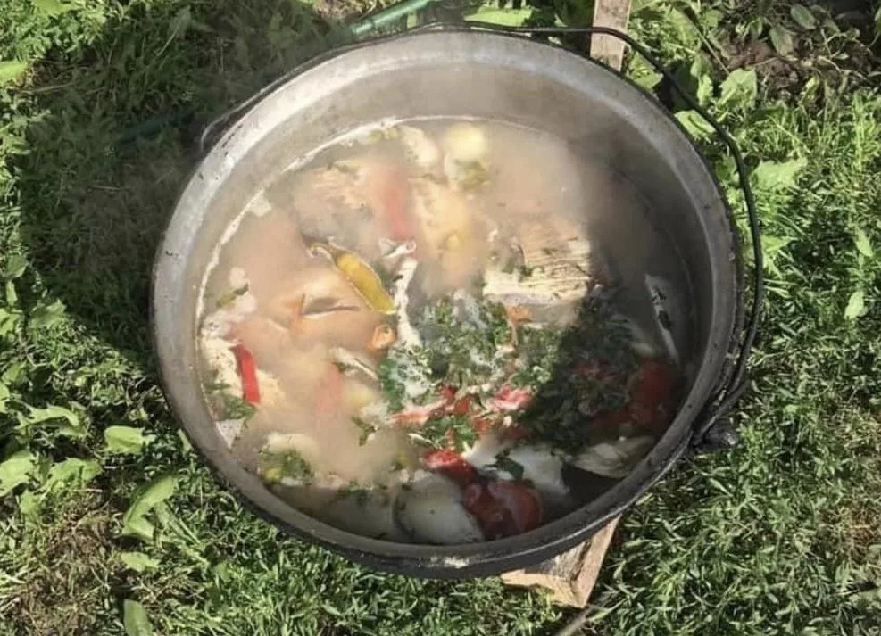 Borș de pește de la noi, din Delta Dunării – Rețetă autentică 11 Borș de pește de la noi, din Delta Dunării – Rețetă autentică