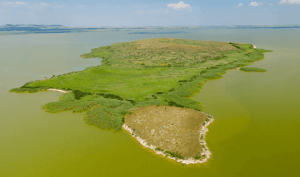 Insula Popina: 10 Curiozități Fascinante din Inima Deltei Dunării (Ghid 2025) 9 10 Curiozitati despre Insula Popina