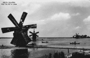 mori-de-vant-la-letea