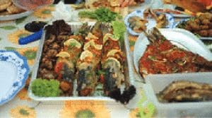 Roșeață de știucă: O Reteta Delicioasă din Delta Dunarii