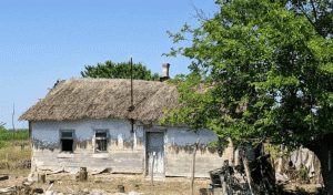 Cardon - Sat din Romania