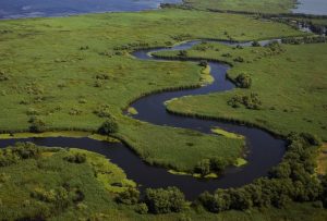 Cele-mai-bune-locuri-de-pescuit-pe-Dunare-si-din-Delta-Dunarii