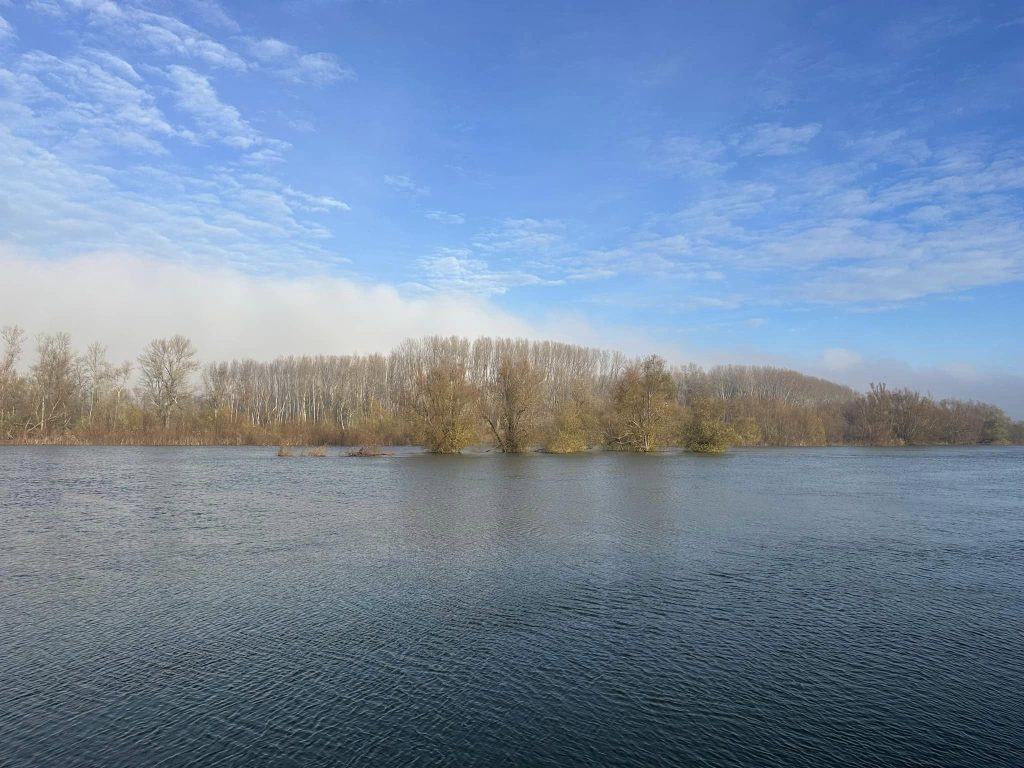 Pescuit la Seimeni in Decembrie 4 Pescuit-la-Seimeni-in-Decembrie-Pescuit-de-Iarna