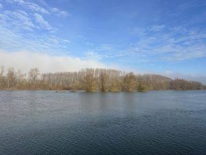 Pescuit-la-Seimeni-in-Decembrie-Pescuit-de-Iarna