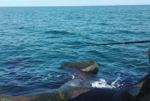 10 Întrebări și Răspunsuri despre Pescuitul la Guvizi 8 10 Intrebari si raspunsuri despre pescuitul la guvizi