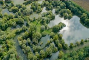 Localizarea Crapului - Cum gasim crapul ?