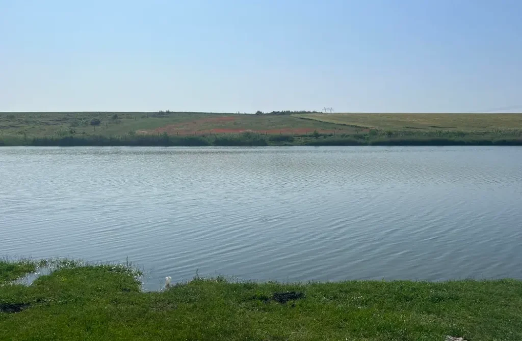 Lacul Galatui - Balta Rasa