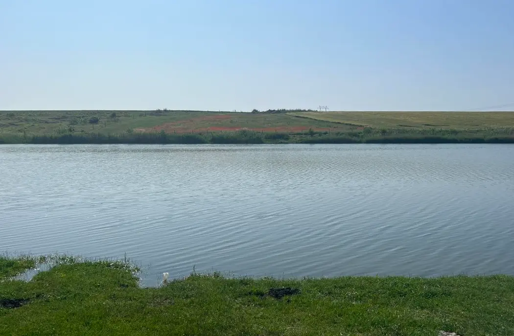 Lacul Galatui - Balta Rasa