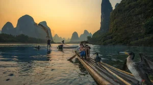 Pescarii traditionali chinezei folosesc cormorani pentru a-i ajuta sa prinda peste