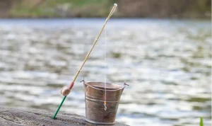 Proiectul legii pescuitului si protectiei resursei acvatice vii in 2024