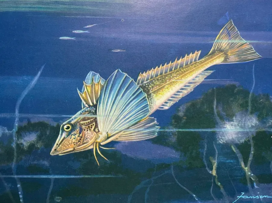 Randunica de mare - Totul Despre Randunica de Mare 3 Randunica de mare - Totul Despre Randunica de Mare