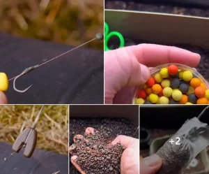 Pescuitul la ”Bag-uri”