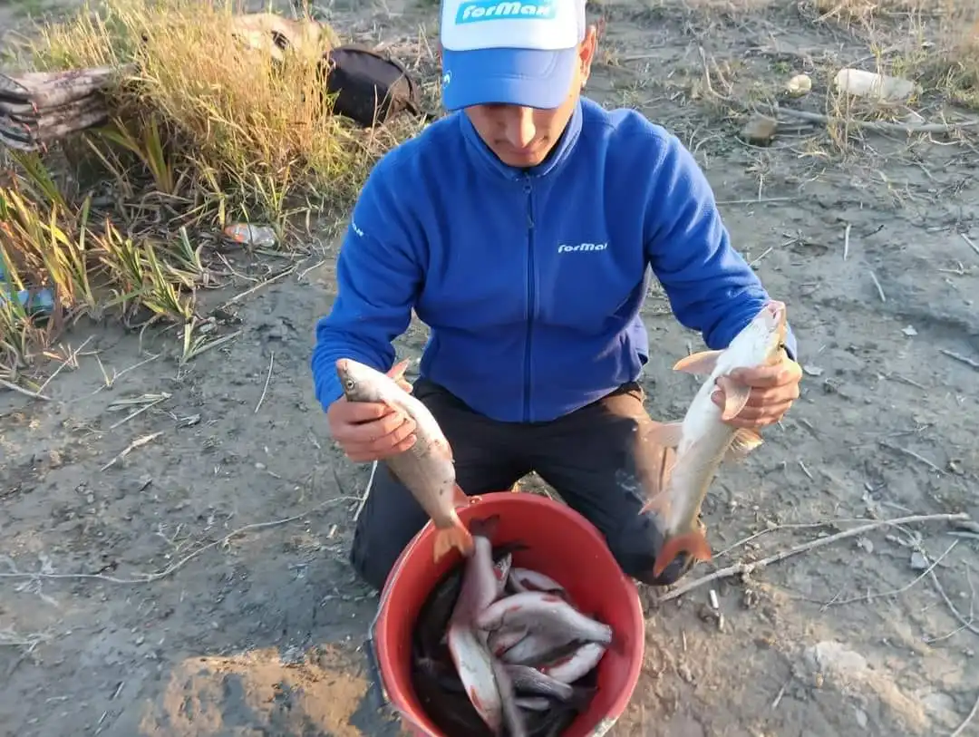 Scobarul - Cum sa prindem Scobar