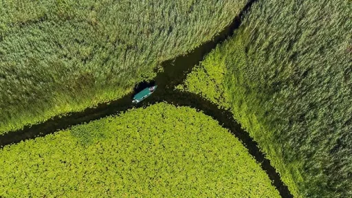 Protejarea Deltei Dunarii: Provocări și Soluții 1 Protejarea Deltei Dunarii: Provocări și Soluții