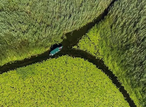 Protejarea Deltei Dunarii: Provocări și Soluții 2 Protejarea Deltei Dunarii: Provocări și Soluții