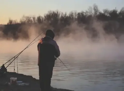 Top Locuri de Pescuit la Cernavodă: Ghidul Pescarului Pasionat