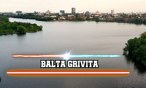 Balta Grivița: O Locatie Populară pentru Pescuitul Sportiv lângă București