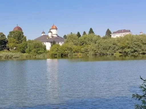 Balta Cernica – Ghid Complet pentru Pescuit în 2025 2 Balta Cernica – Ghid Complet pentru Pescuit în 2025