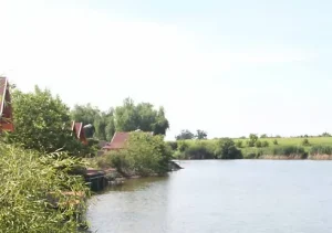 Balta Corbeanca – Pescarium, Destinația Perfectă pentru Pescuit