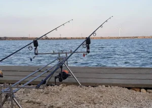 Balta Corbu – Regulament, Tarife și Ghid de Pescuit 2025