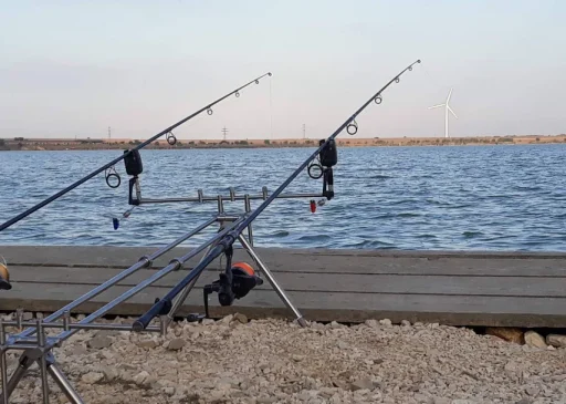 Balta Corbu – Regulament, Tarife și Ghid de Pescuit 2025 1 Balta Corbu – Regulament, Tarife și Ghid de Pescuit 2025