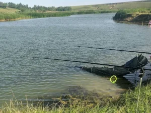 Balta Frăsinet – Destinația de Pescuit cu Creștere Masivă în 2025