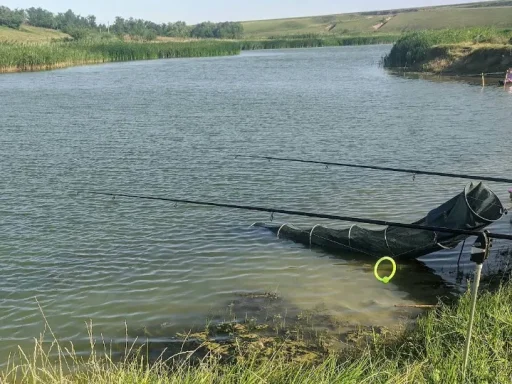 Balta Frăsinet – Destinația de Pescuit cu Creștere Masivă în 2025