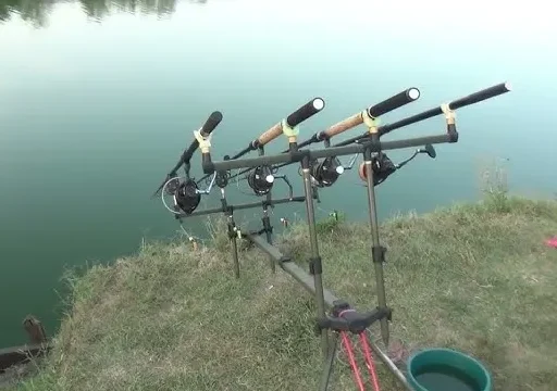 Balta La Cărămizi – Ghid Complet pentru Pescari în 2025 3 Balta La Cărămizi – Ghid Complet pentru Pescari în 2025