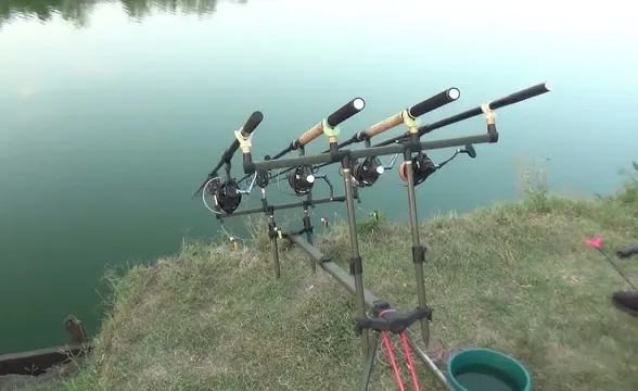 Balta La Cărămizi – Ghid Complet pentru Pescari în 2025 8 Balta La Cărămizi – Ghid Complet pentru Pescari în 2025