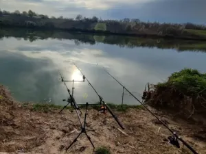 Balta Lupsanu – Regulament pescuit 2025 la Lupsanu 2 și Lupsanu 3