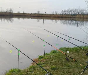 Pescuit la Balta Malu – Ialomița 2025: Reguli, taxe și capturi