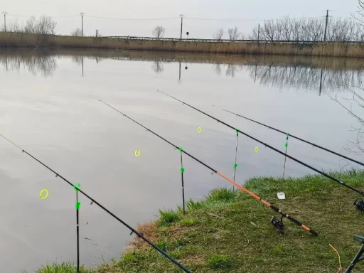 Pescuit la Balta Malu – Ialomița 2025: Reguli, taxe și capturi