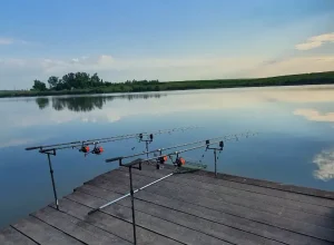 Balta Nucetu – Cea Mai Bună Destinație pentru Pescuit? Află Totul Aici!