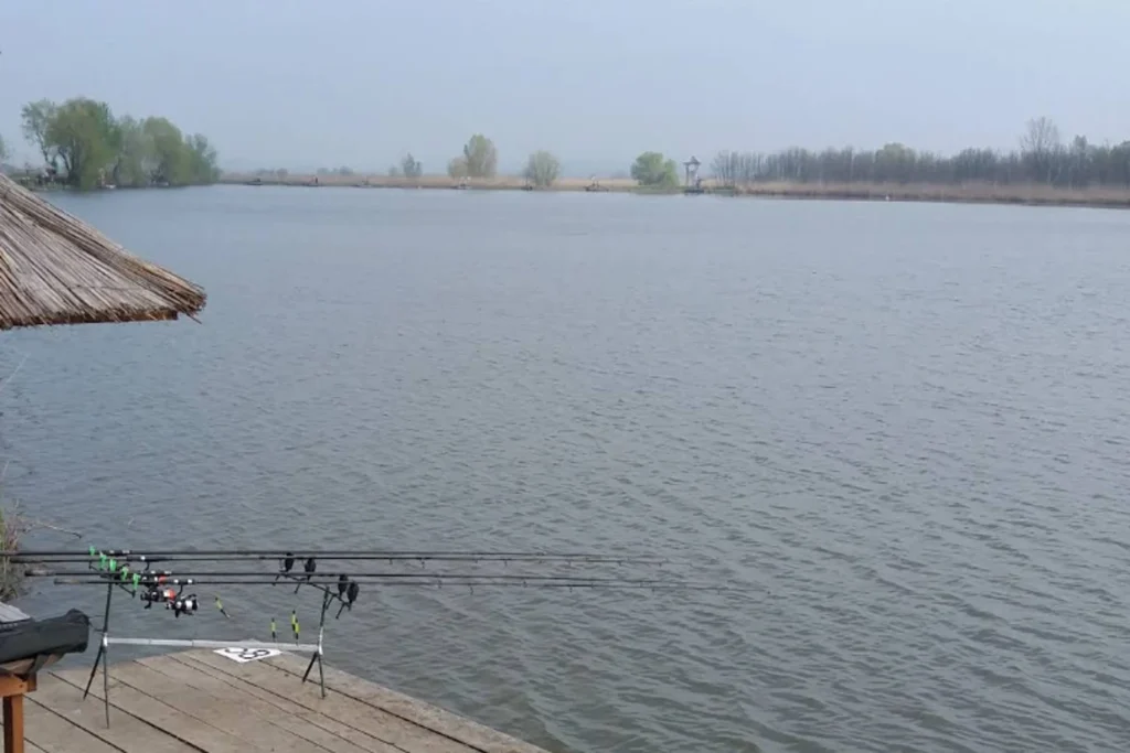 Balta Zătun: Taxe, Regulament, Retinere și Condiții pentru Pescari 3 Balta Zătun: Taxe, Regulament, Retinere și Condiții pentru Pescari