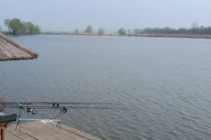 Balta Zătun: Taxe, Regulament, Retinere și Condiții pentru Pescari