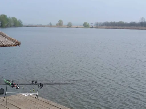 Balta Zătun: Taxe, Regulament, Retinere și Condiții pentru Pescari