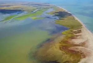 Insula Sacalin – Tărâmul Sălbatic Interzis din Inima Deltei Dunării