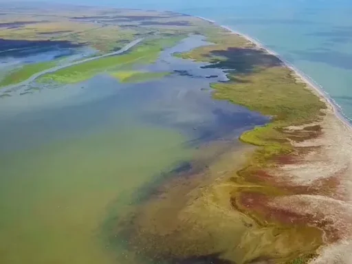 Insula Sacalin – Tărâmul Sălbatic Interzis din Inima Deltei Dunării 5 Insula Sacalin – Tărâmul Sălbatic Interzis din Inima Deltei Dunării