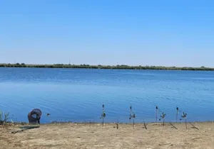 Lacul Dunărea Veche – Blasova: Destinația Perfectă pentru Pescuit