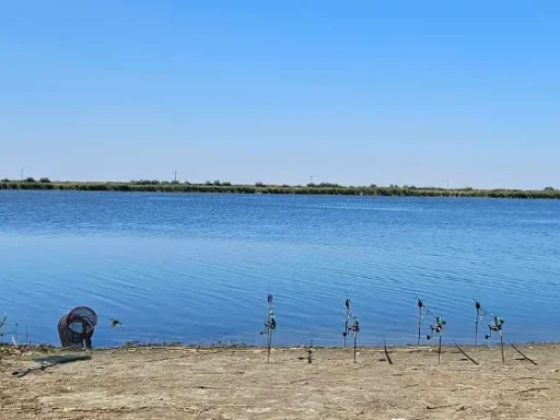 Lacul Dunărea Veche – Blasova: Destinația Perfectă pentru Pescuit în 2025 1 Lacul Dunărea Veche – Blasova: Destinația Perfectă pentru Pescuit