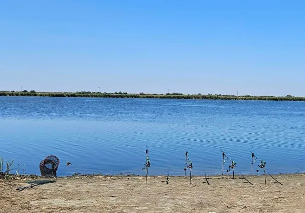 Lacul Dunărea Veche – Blasova: Destinația Perfectă pentru Pescuit în 2025 6 Lacul Dunărea Veche – Blasova: Destinația Perfectă pentru Pescuit