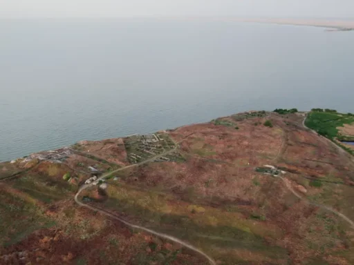 Lacul Razim - O Perla Naturală a Deltei Dunării 6 Lacul Razim - O Perla Naturală a Deltei Dunării