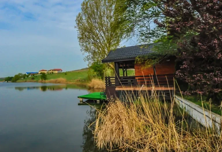 Laguna Verde – Oază de Relaxare și Pescuit Sportiv Lângă București 8 Laguna Verde – Oază de Relaxare și Pescuit Sportiv Lângă București