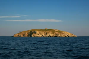 Adevărul din spatele Blestemului Insulei Șerpilor: De ce Se Feresc Pescarii