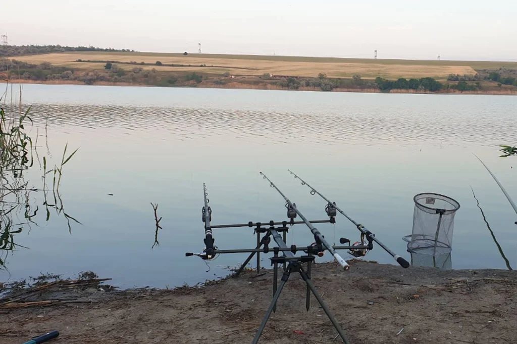 Balta Mălina – Smârdan, Galați: Pescuit Sportiv în Natură