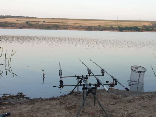 Balta Mălina – Smârdan, Galați: Pescuit Sportiv în Natură