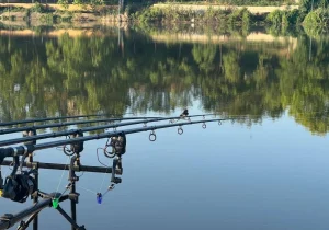 Balta Moara Vlăsiei 2 – Performanță, Confort și Capturi Memorabile