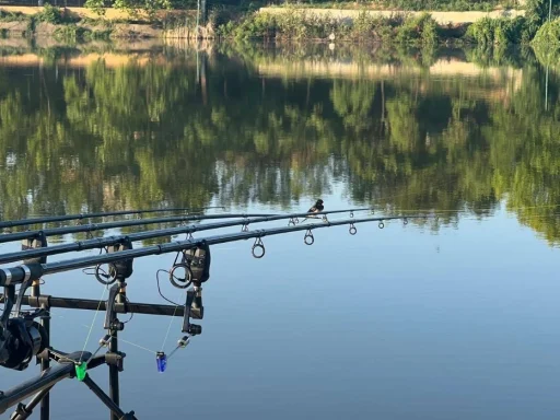 Balta Moara Vlăsiei 2 – Performanță, Confort și Capturi Memorabile